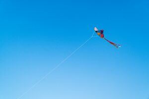 Vata Dosha: The Principle of Movement